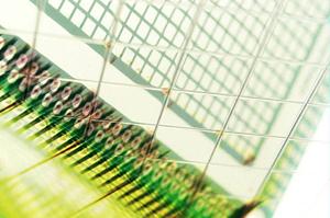 検査に役立つ画像解析プログラム開発会社